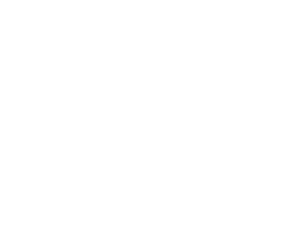 ISTS Logo mark